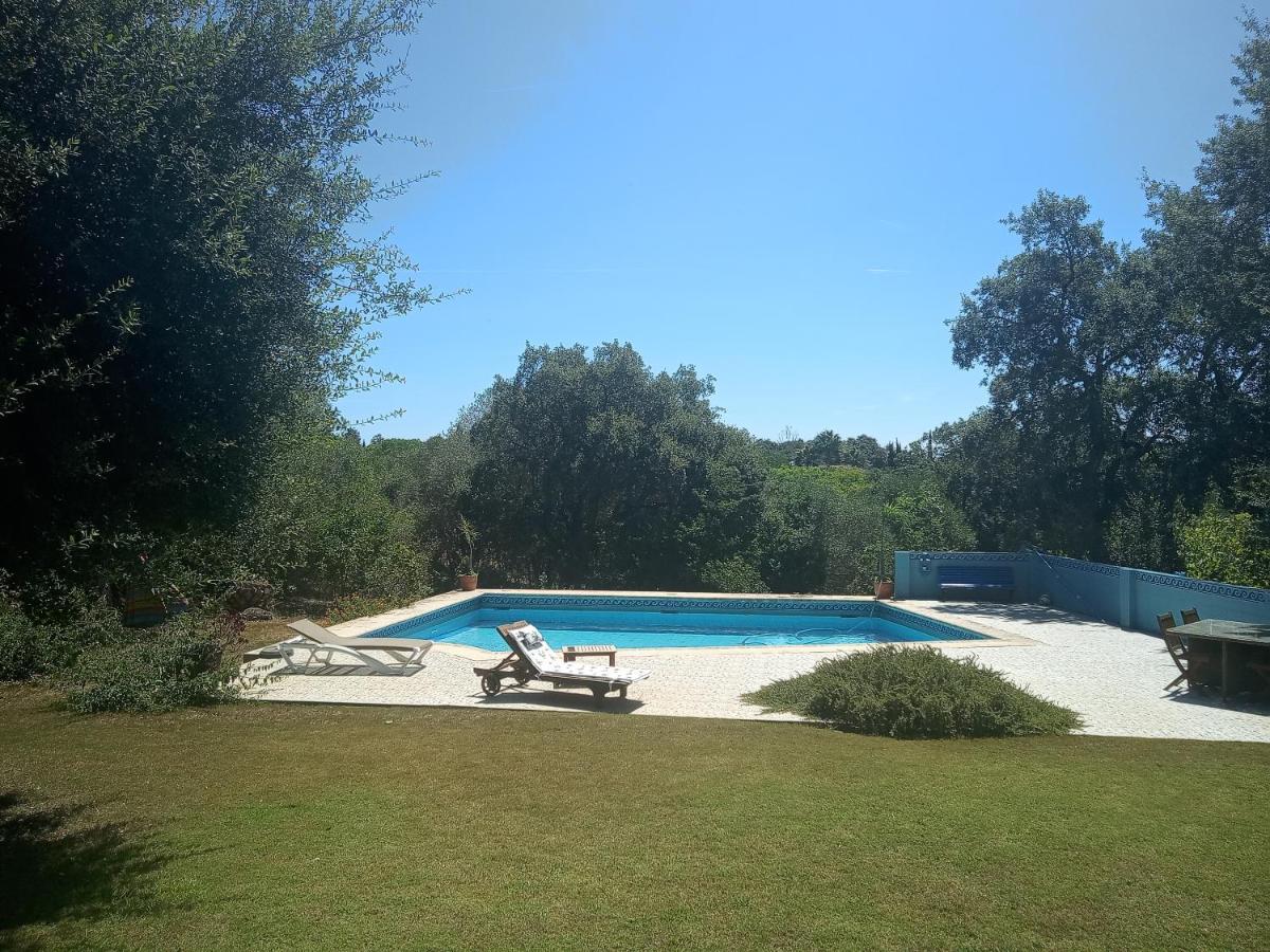 Sotogrande - Estancia En Plena Naturaleza - Abril Екстериор снимка