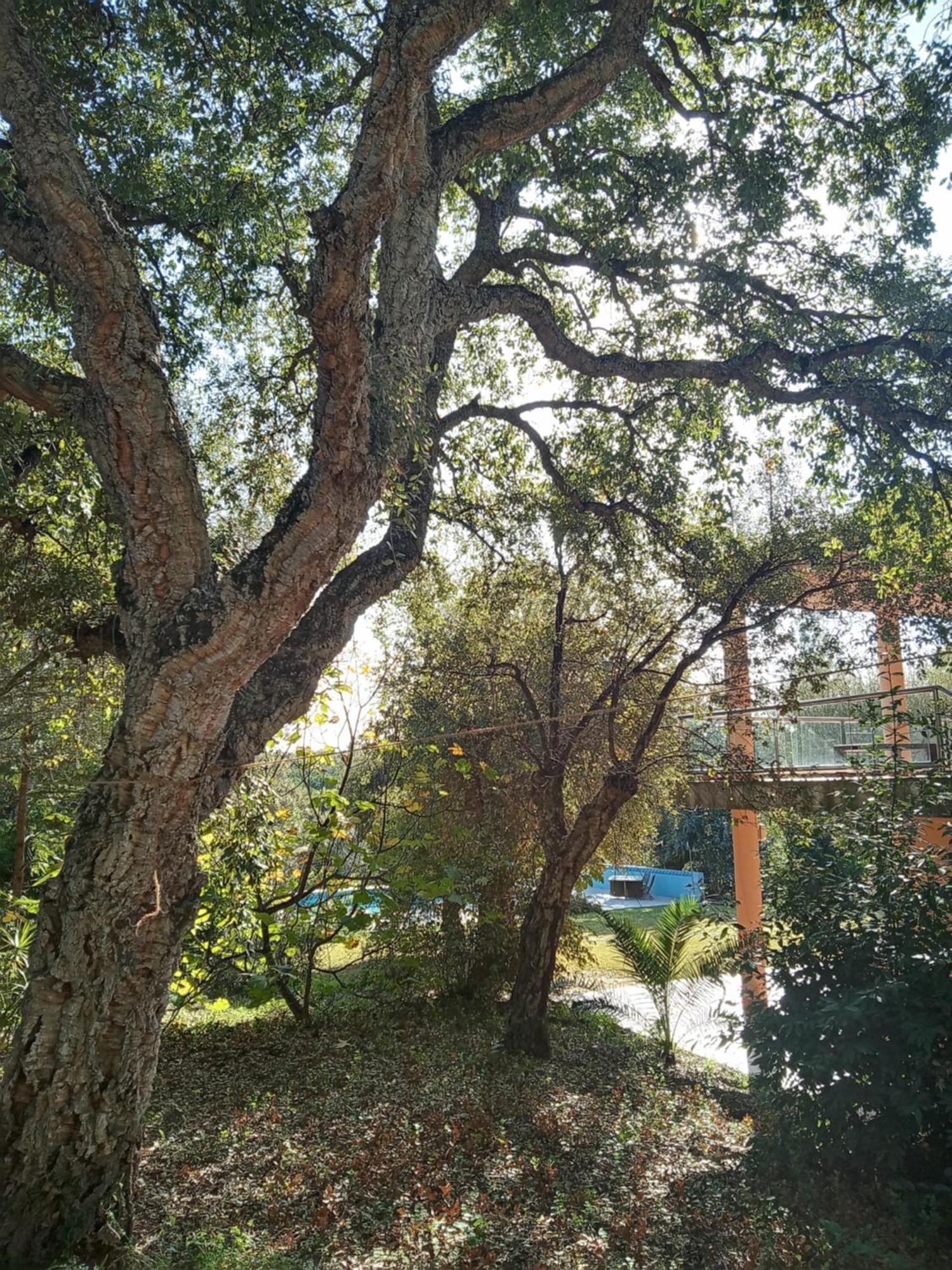 Sotogrande - Estancia En Plena Naturaleza - Abril Екстериор снимка