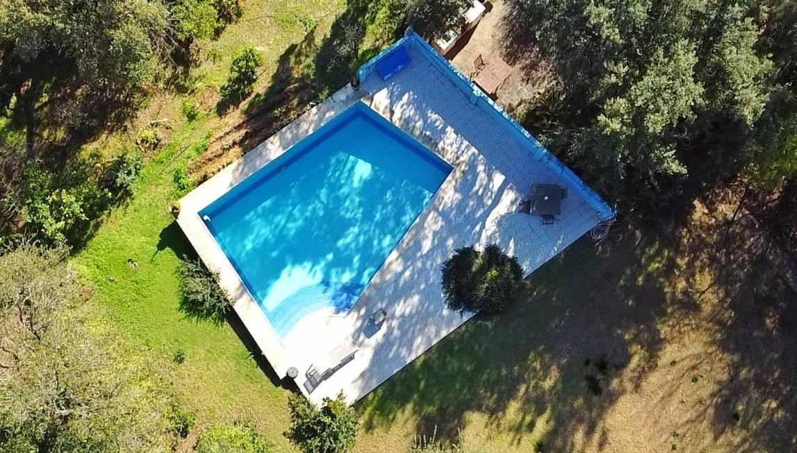 Sotogrande - Estancia En Plena Naturaleza - Abril Екстериор снимка