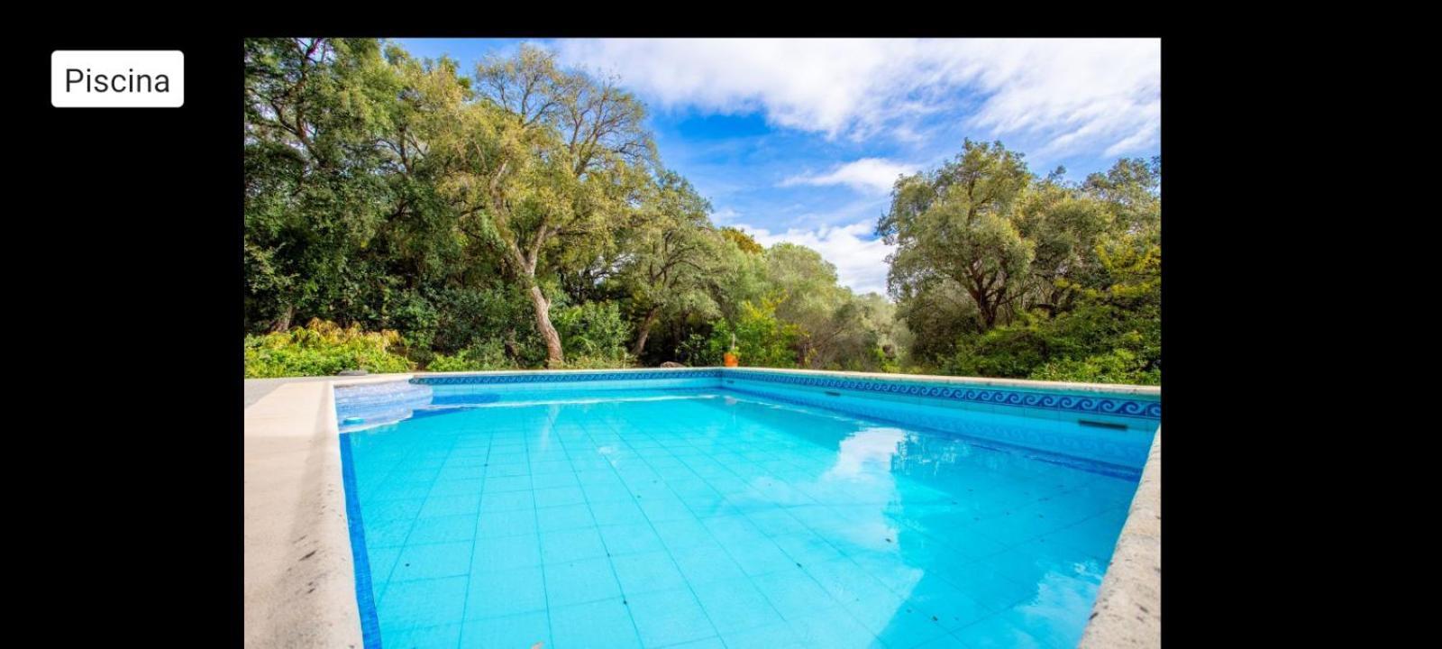 Sotogrande - Estancia En Plena Naturaleza - Abril Екстериор снимка