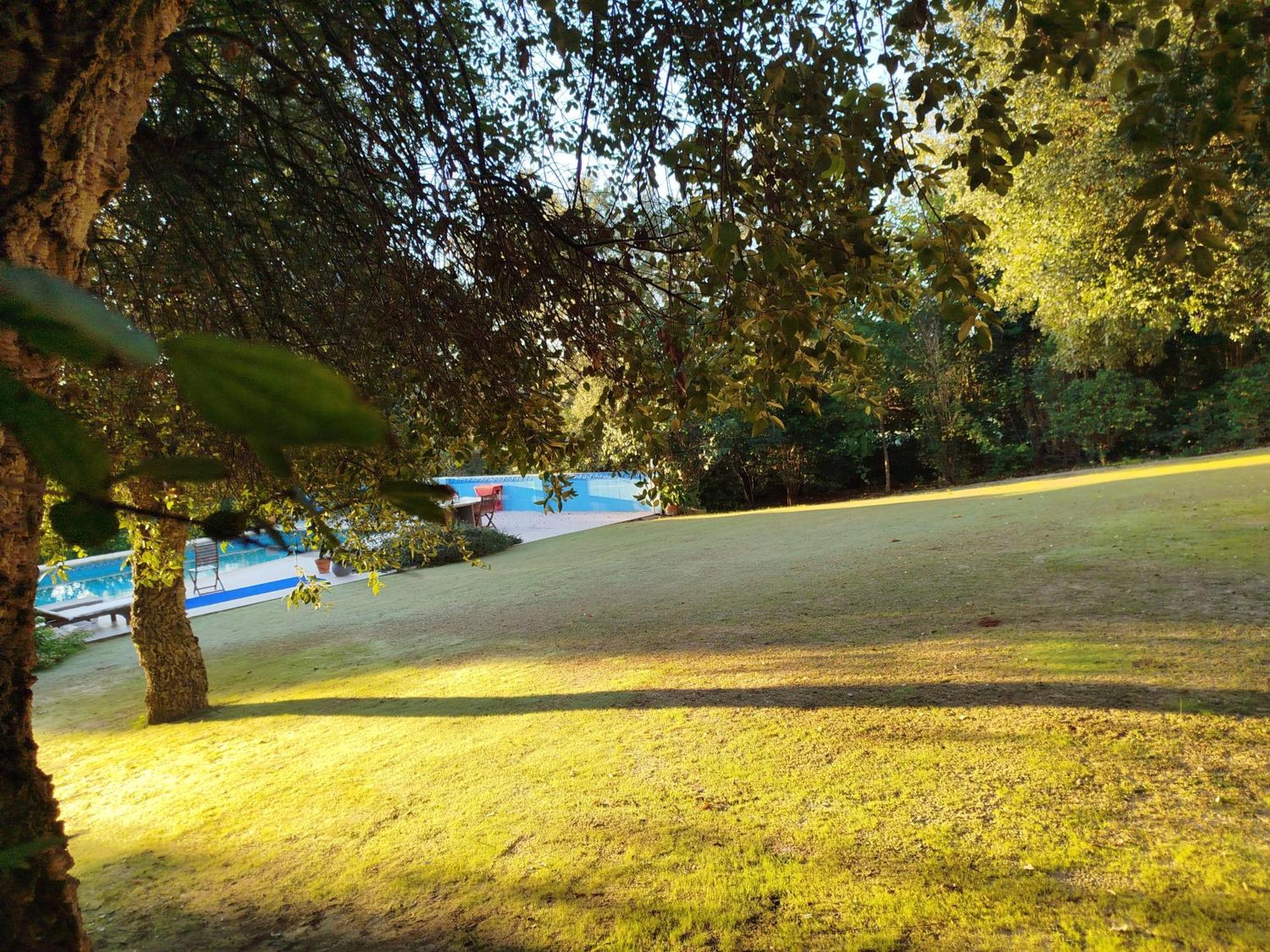 Sotogrande - Estancia En Plena Naturaleza - Abril Екстериор снимка